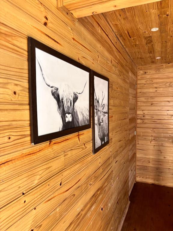 Fotografie z fotogalerie ubytování Into The Wild Cabin v destinaci Gonçalves