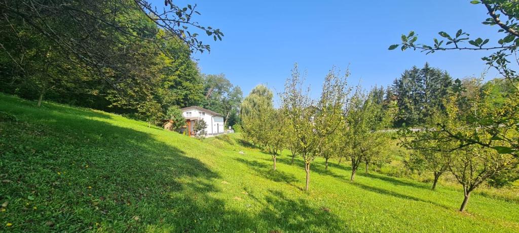 a house on the side of a green hill with trees at Celine in Zaprešić