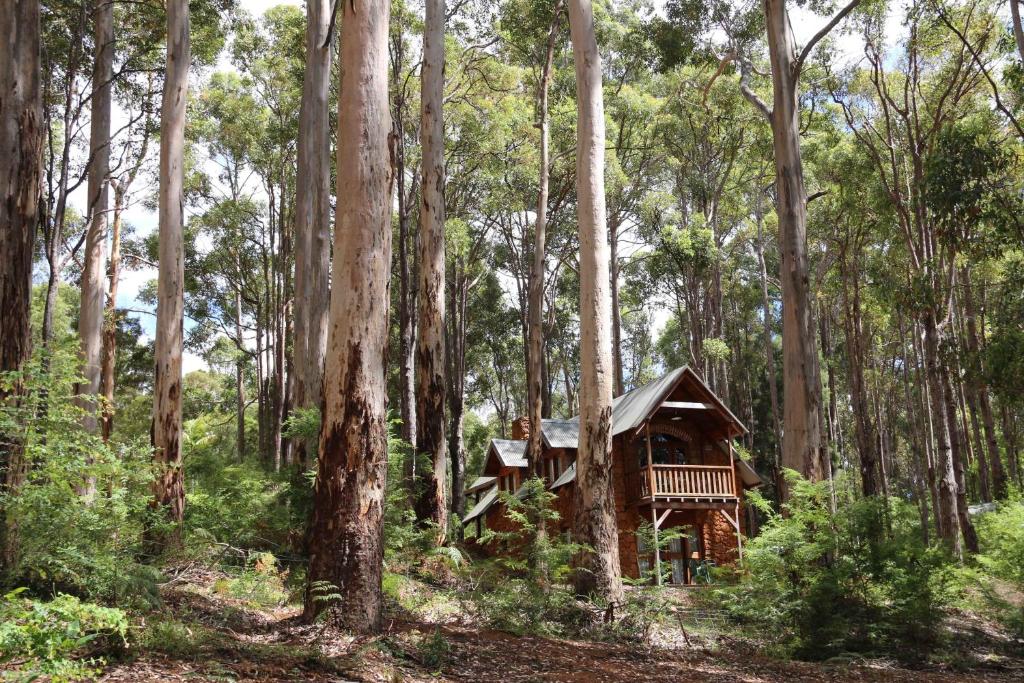 a tree house in the middle of a forest at Beedelup House Cottages in Pemberton