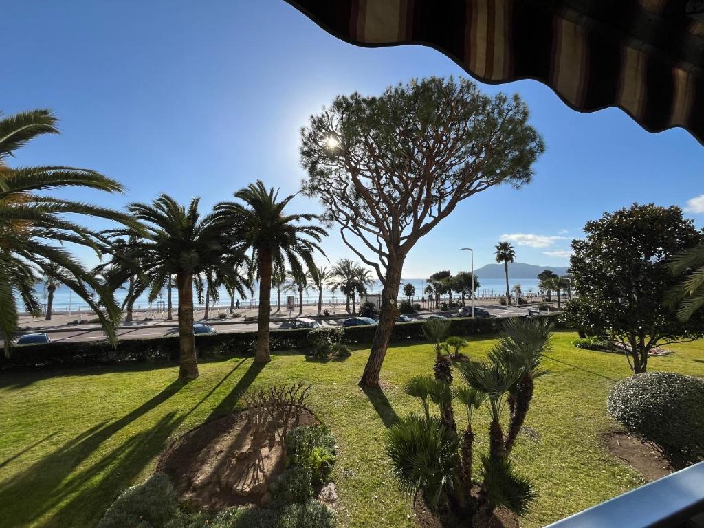 vistas a un parque con palmeras en 2p front de mer bocca cabana, en Cannes