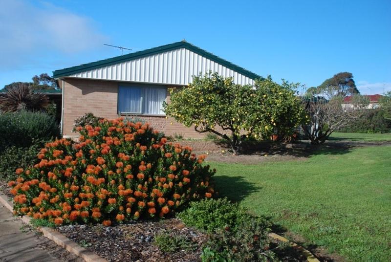 a pile of orange flowers in front of a house at Lemontree Cottage in Kingscote
