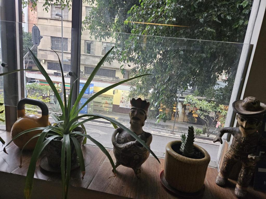 زندگی شهری BnB Puerta Alameda, آژانس هواپیمایی آسمان سپید
