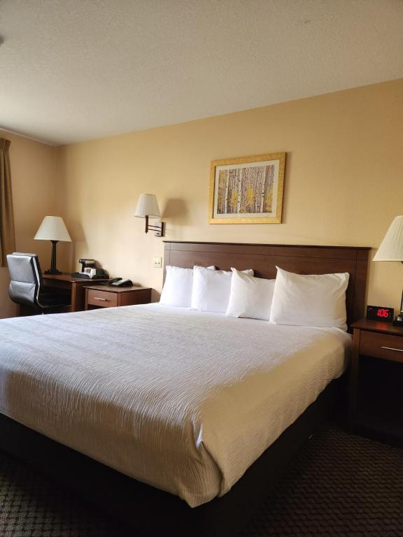Luxury Inn & Suites photo