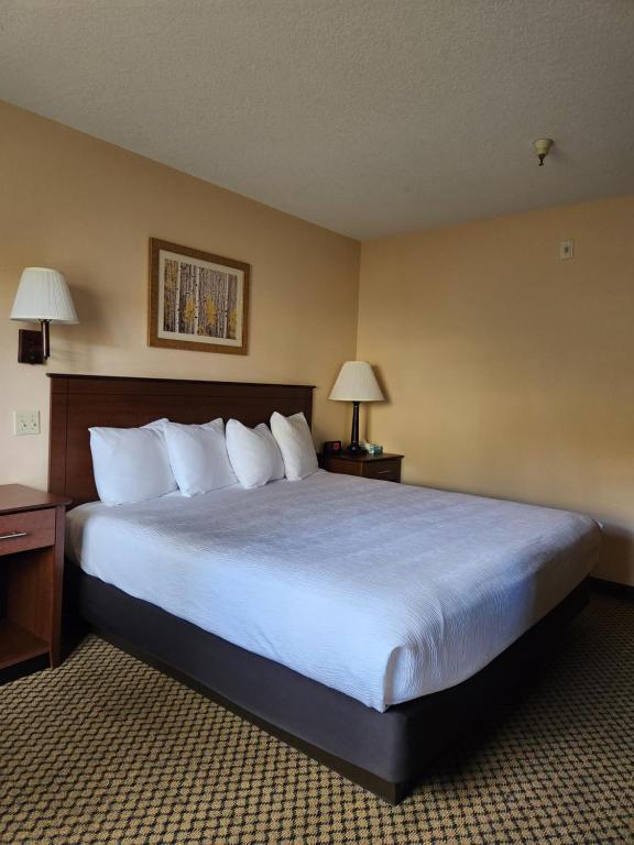 Luxury Inn & Suites photo