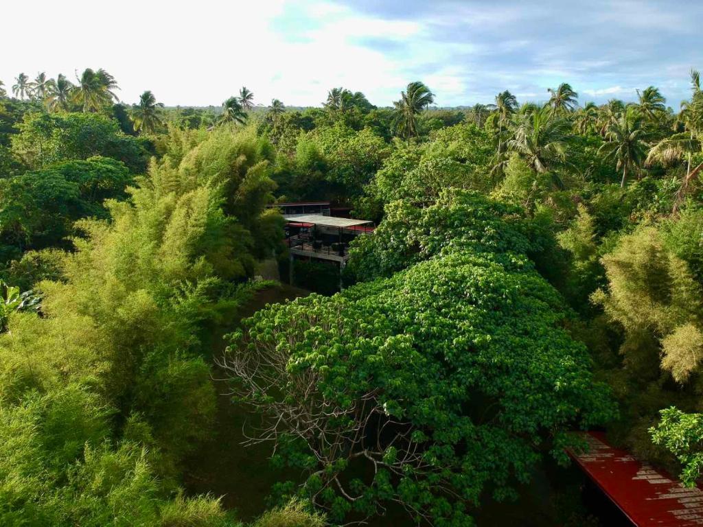 Vue aérienne d'une maison au milieu d'une forêt dans l'établissement OFF THE GRID - Imagined adventures in a relaxing escape, à Alfonso