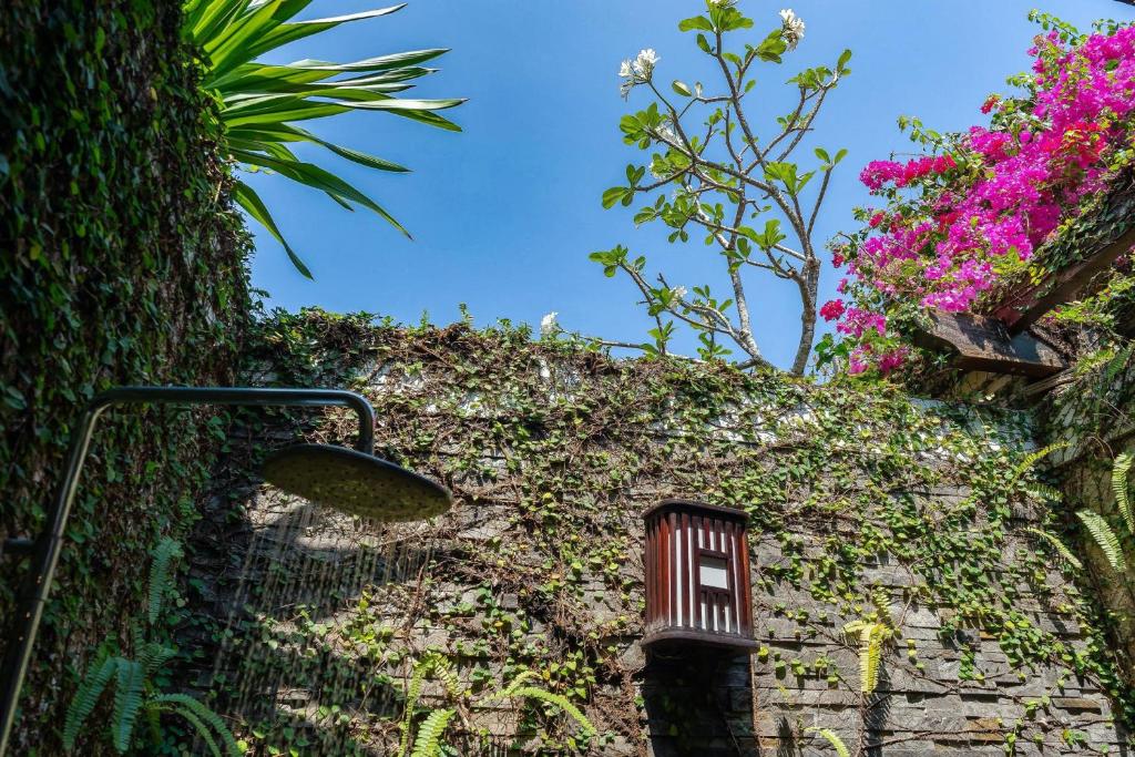 Anja Beach Resort & Spa - 8