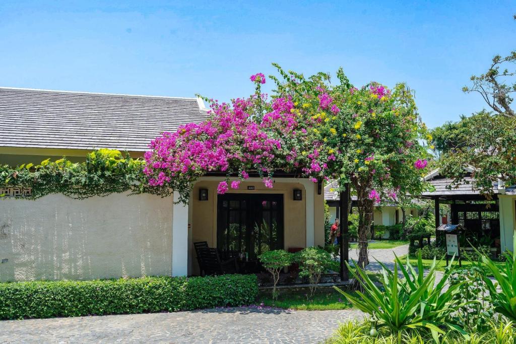 Anja Beach Resort & Spa - 9