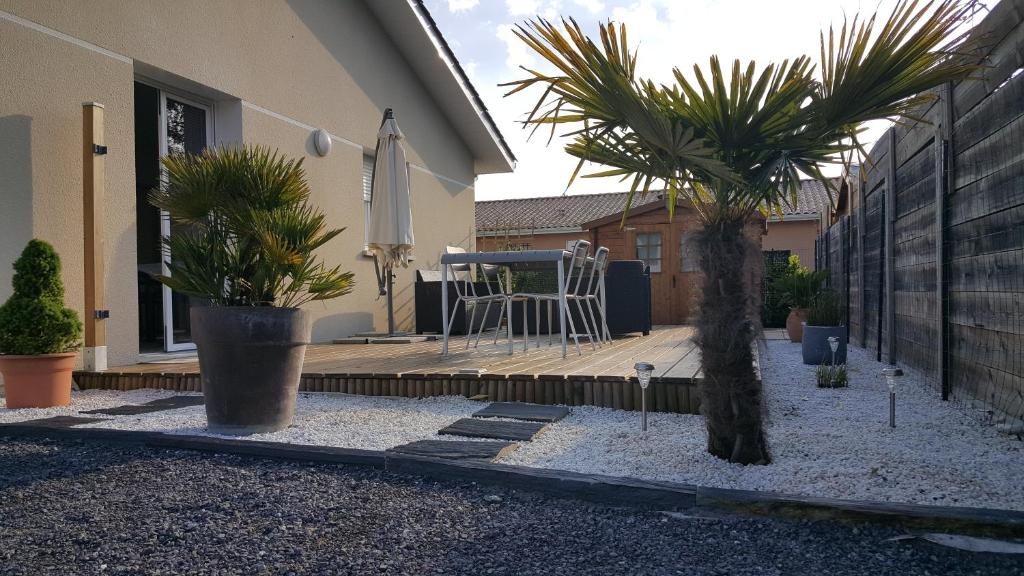 een patio met palmbomen en een stoel op een terras bij Maison de vacances Lège-Cap-Ferret in Lège-Cap-Ferret