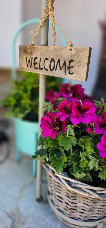 Una cesta de flores con una señal que dice bienvenida en Velem Spirit Apartment, en Velem