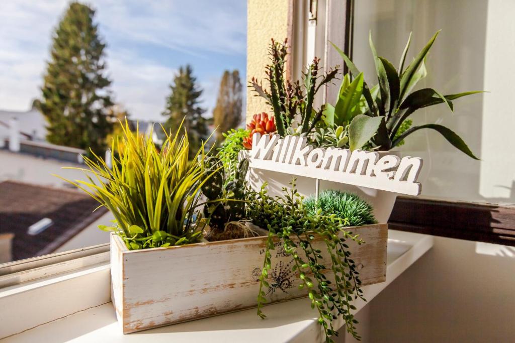 美茵河畔法蘭克福的住宿－WPS Residenz，窗台上摆着盆栽植物