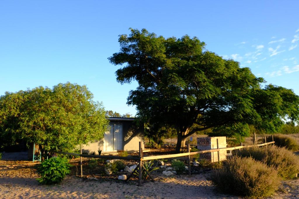 a house with a tree and a fence at Blue Sky Retreat in Vredenburg