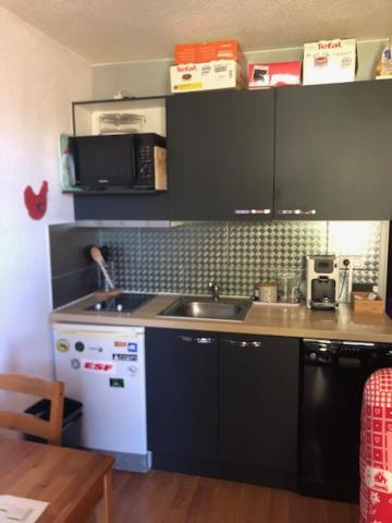 阿克斯萊泰爾姆的住宿－AX 3 DOMAINES - BONASCRE，一间带水槽和微波炉的小厨房