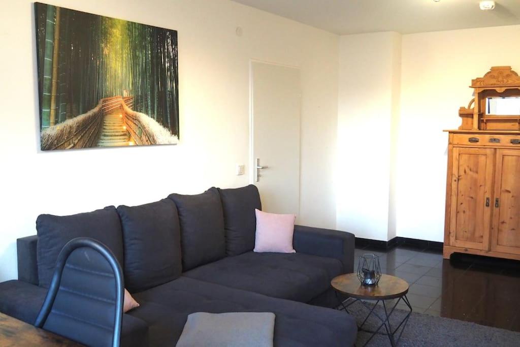 sala de estar con sofá y mesa en Möblierte Wohnung Nähe BASF Ludwigshafen/Mannheim mit Privatparkplatz, en Ludwigshafen am Rhein