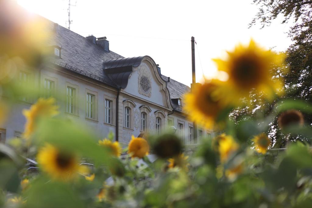 a building with a bunch of sunflowers in front of it at Kloster Huysburg Ekkehard Haus in Dingelstedt