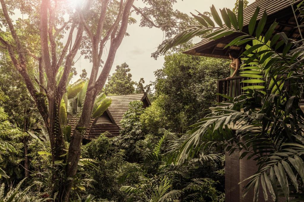 Four Seasons Resort Chiang Mai - 10