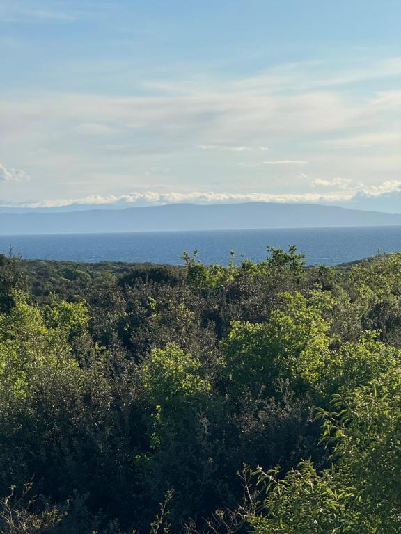 Φυσικό τοπίο κοντά σε αυτό το διαμέρισμα