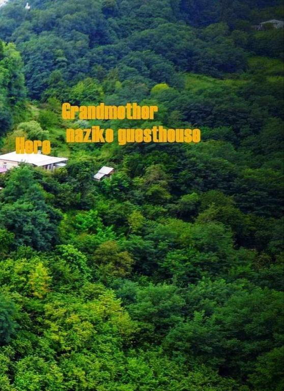 Grandmother Naziko - Grande Chambre Unique