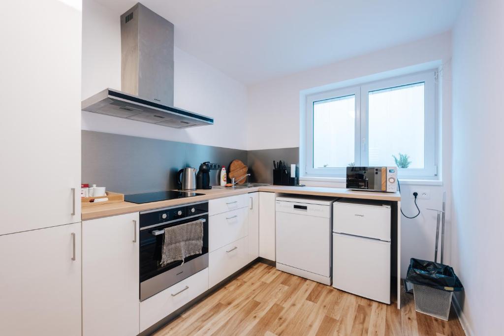 Kuchyň nebo kuchyňský kout v ubytování Apartmán U sklepů