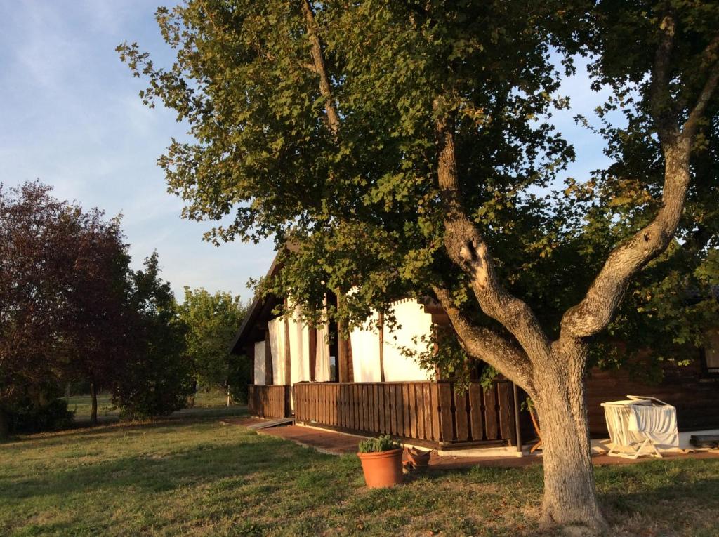 a tree in a yard next to a house at Le tre poiane in Terni