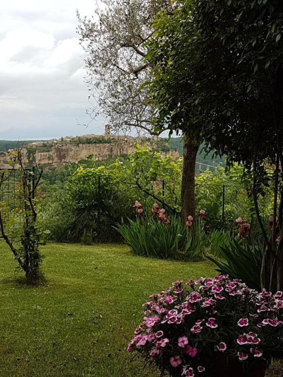 LubrianoにあるCasa con vista mozzafiato su Civita di Bagnoregioの芝生のピンクの花々が咲く庭園
