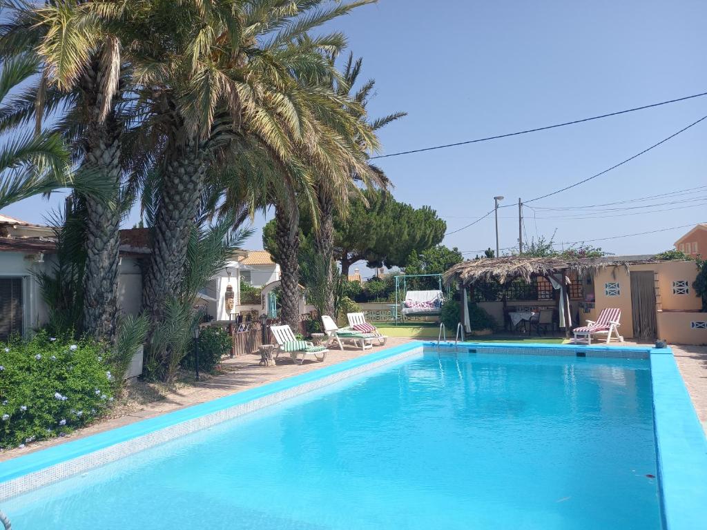 uma grande piscina com uma palmeira ao lado de uma casa em Tara Casa Rural em Cartagena