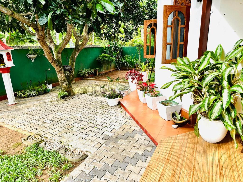 einen Innenhof mit Topfpflanzen und einem Baum in der Unterkunft Villa Sara in Aluthgama