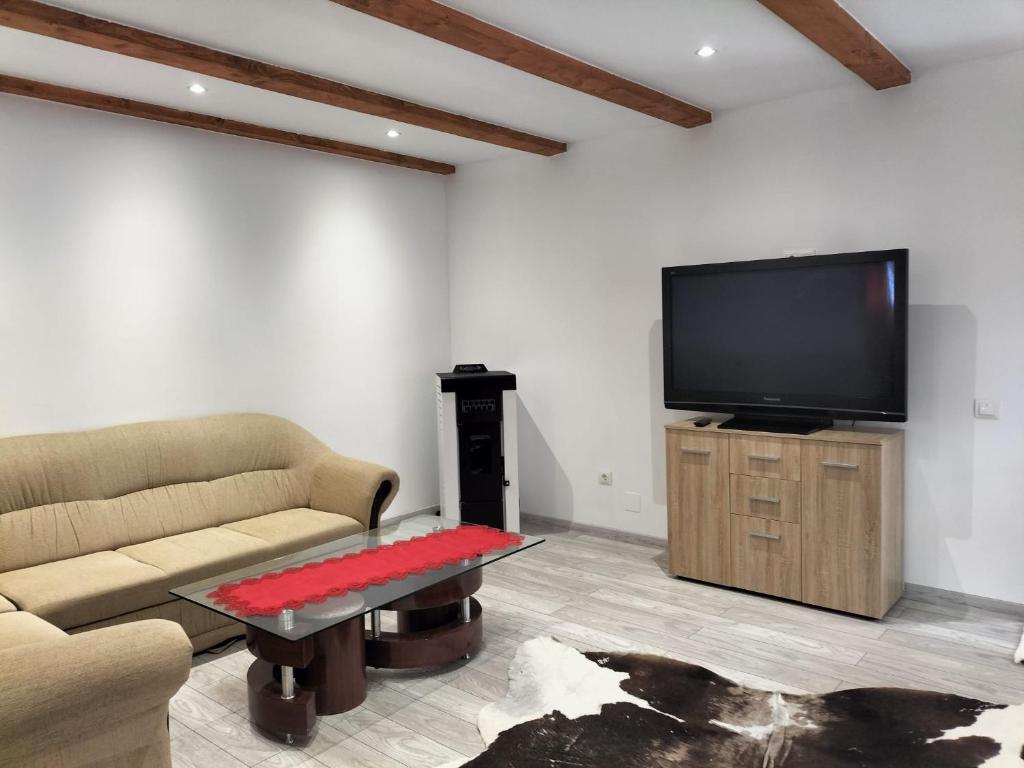 ein Wohnzimmer mit einem Sofa und einem Flachbild-TV in der Unterkunft Casa Emma in Vişeu de Jos