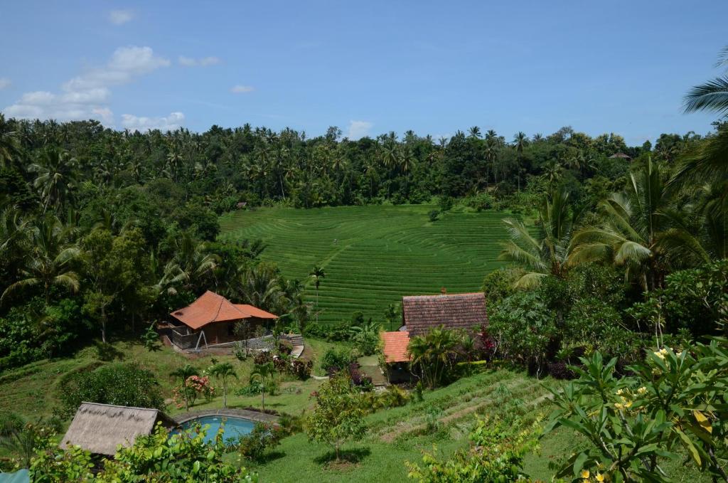 Bali Lush, Selemadeg – Tarifs 2024