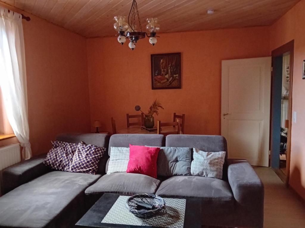 沙特努瓦的住宿－appartement spacieux dans joli village alsacien，客厅配有带色彩缤纷枕头的灰色沙发