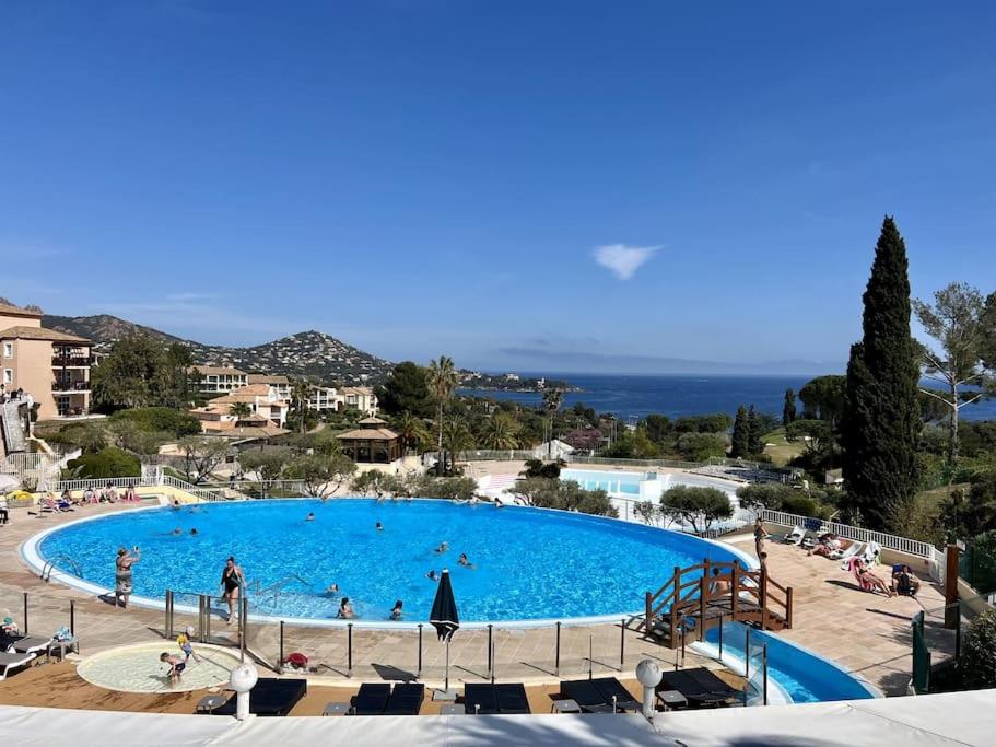 une grande piscine bleue avec des gens dedans dans l'établissement Appart vue mer et Esterel-Piscine, à Saint-Raphaël