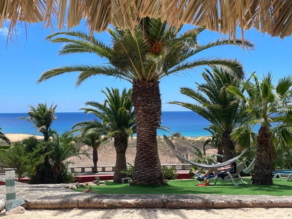 a palm tree on the beach with a hammock at Porto Santo Destination in Porto Santo