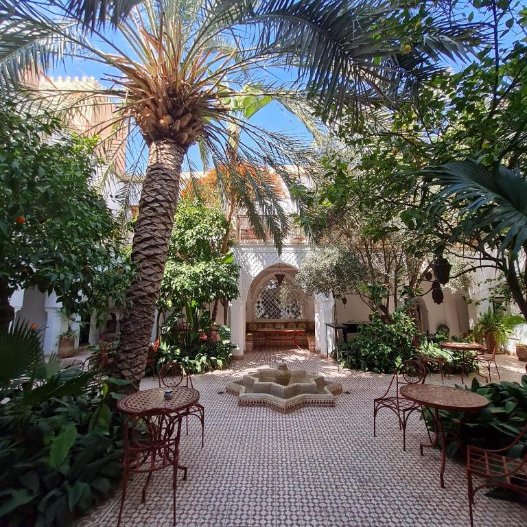 Zahrada ubytování Riad Ifoulki
