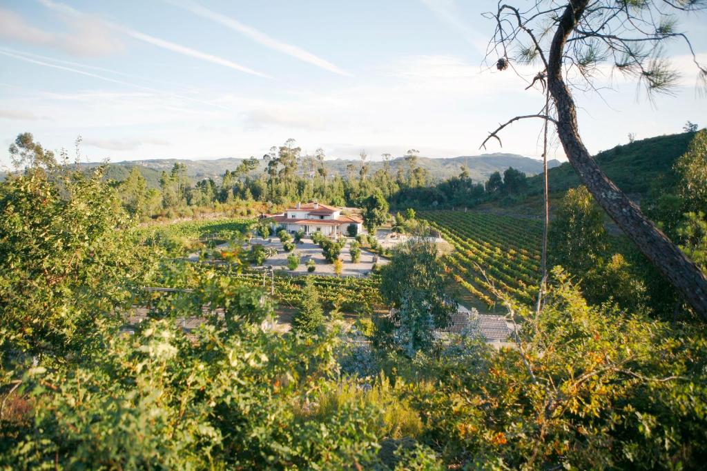 een luchtzicht op een wijngaard met een huis in een veld bij Quinta da Paixão - Bed & Breakfast in Pedraça