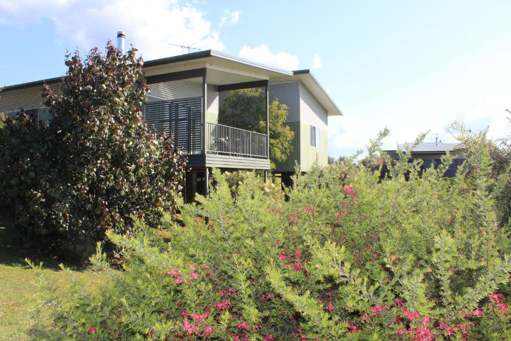 Zahrada ubytování Beltana Villas