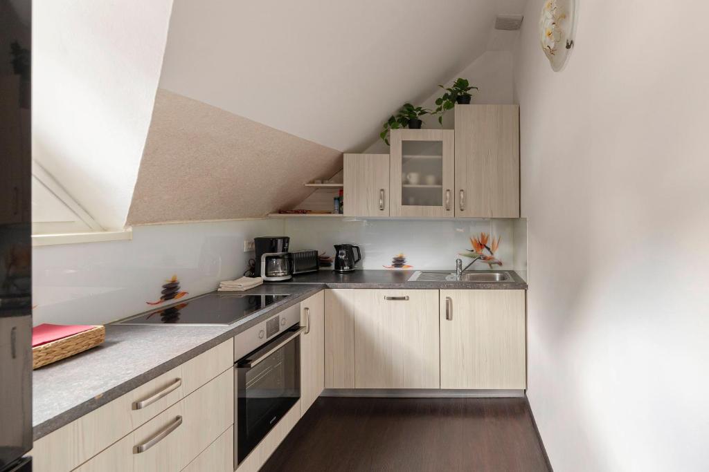 een keuken met witte kasten en roestvrijstalen apparatuur bij Cadys Apartment in Kranjska Gora