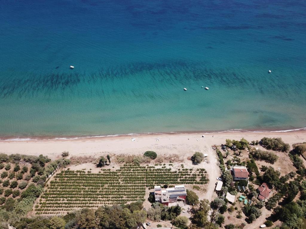 eine Luftansicht auf einen Strand und das Meer in der Unterkunft Memi View B3 in Koroni