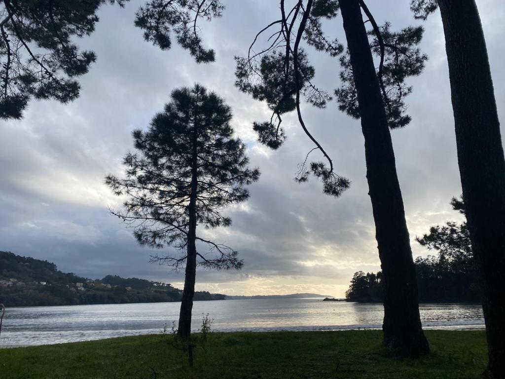 Príroda v okolí hotela