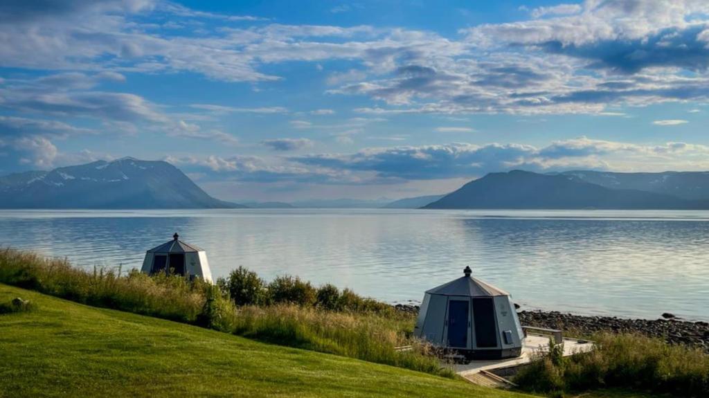 Příroda nedaleko luxury tent