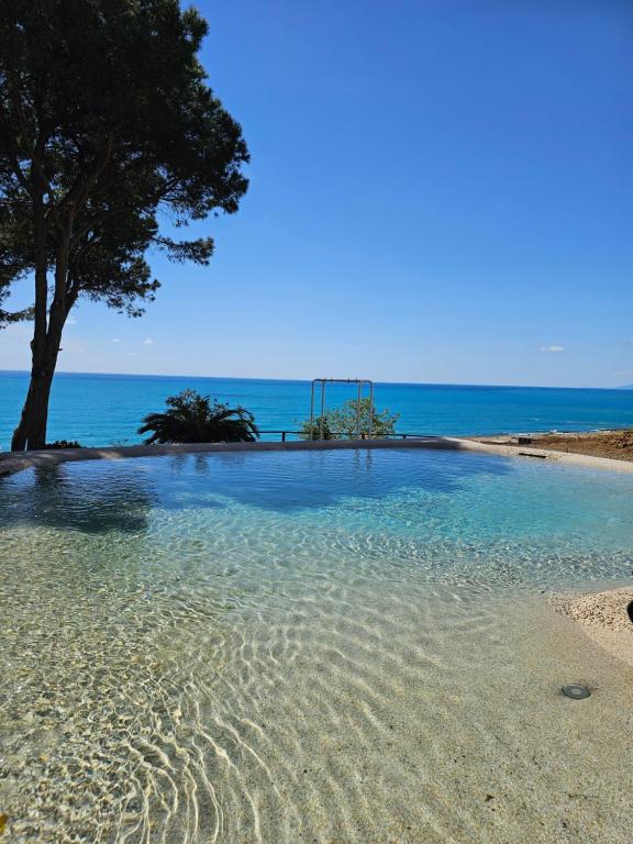 una piscina de agua con un árbol en la playa en La fattoria di nonna elvira, en Belvedere Marittimo