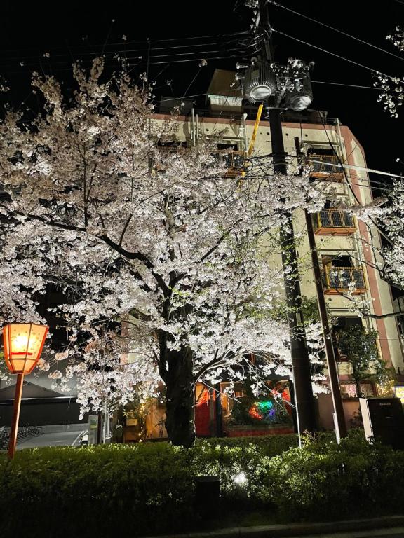 Φωτογραφία από το άλμπουμ του 四条ホテル στο Κιότο