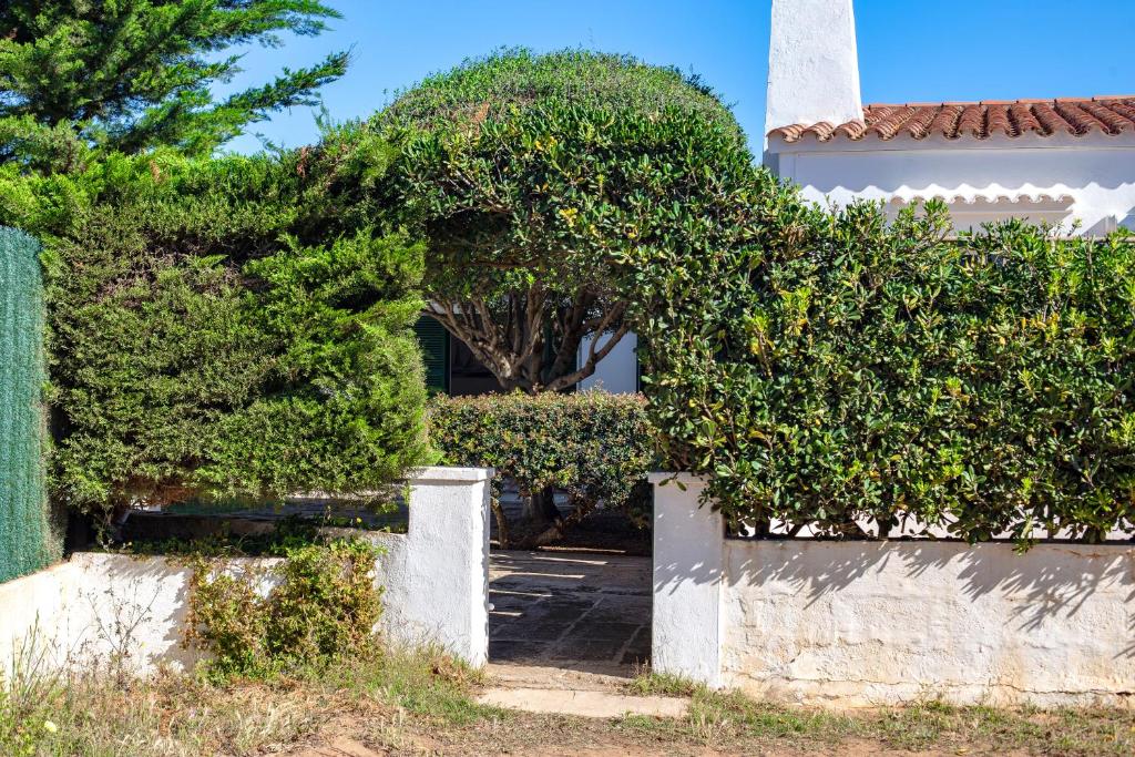 Zahrada ubytování Villa Goyo