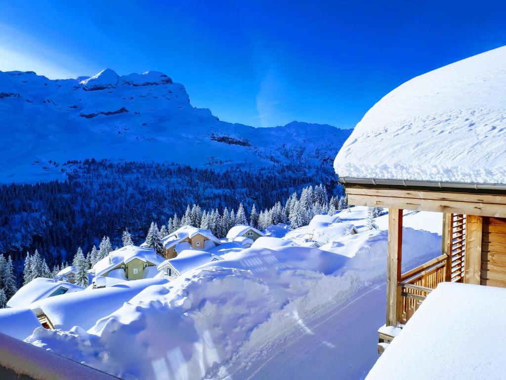 Superbe Duplex- Résidence Alpine v zimě