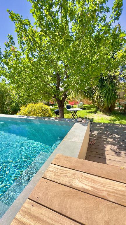 - une piscine avec une table et un arbre dans l'établissement Piscine & Sauna Maison Classée au Coeur de Marseille, à Marseille