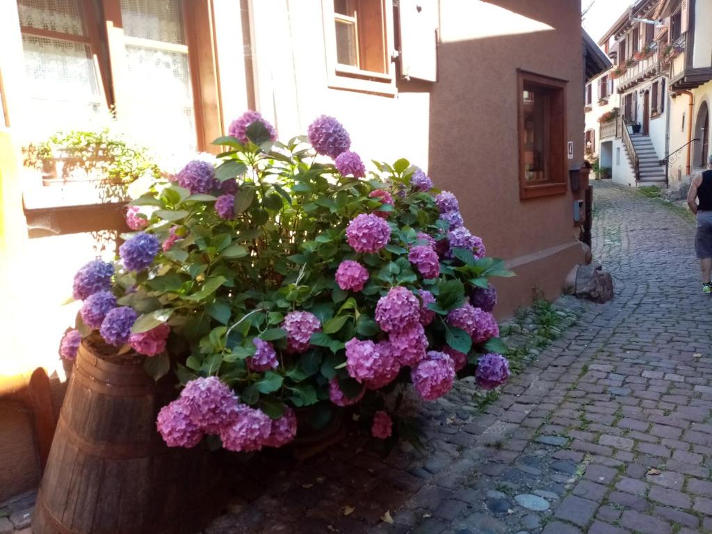 um ramo de flores roxas num barril de madeira em Studio Danton em Troyes