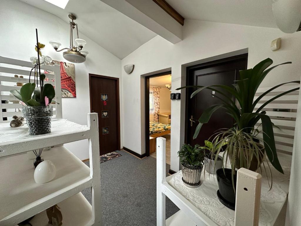 Fotografia z galérie ubytovania Guest House Villa Arkadia vo Varšave
