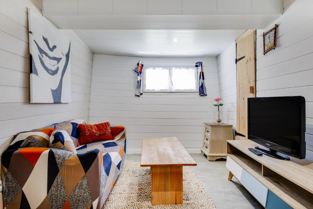 ein Wohnzimmer mit einem Sofa und einem TV in der Unterkunft Péniche Destinée in Bordeaux