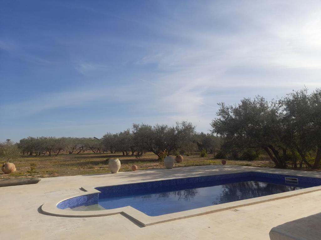 een zwembad in een tuin met bomen op de achtergrond bij Villa Chaâbane in Djerba