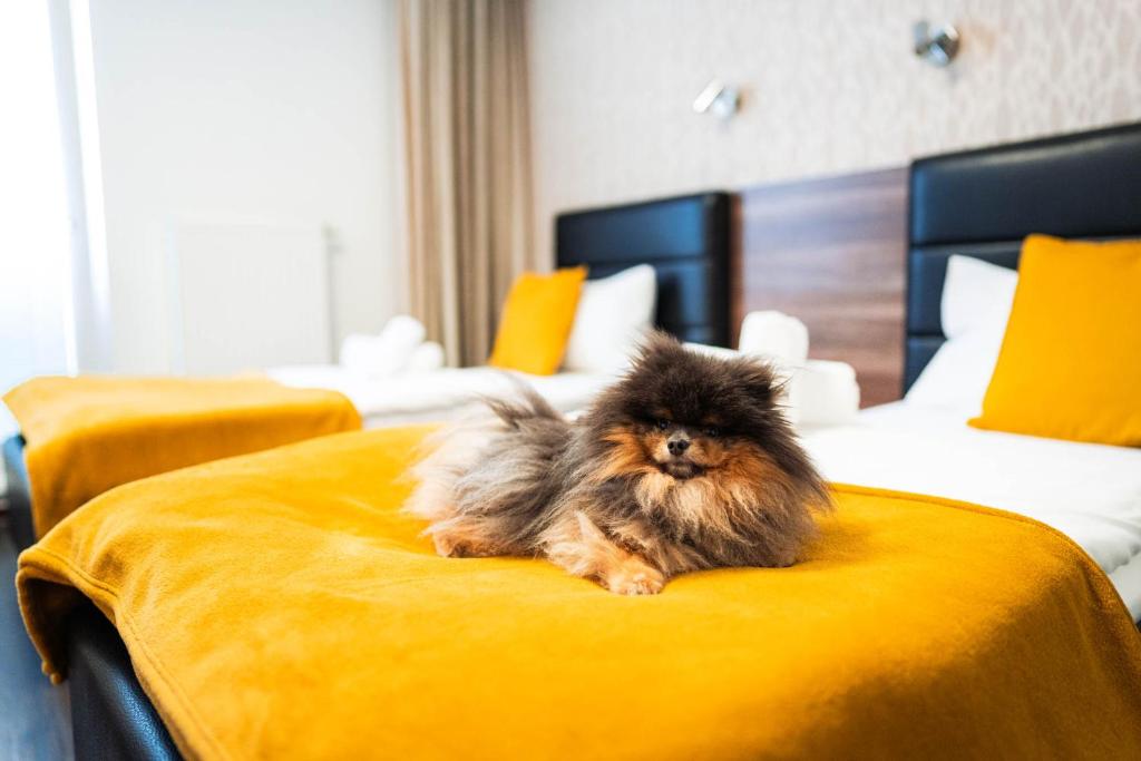 Penzion v jízdárně - 18