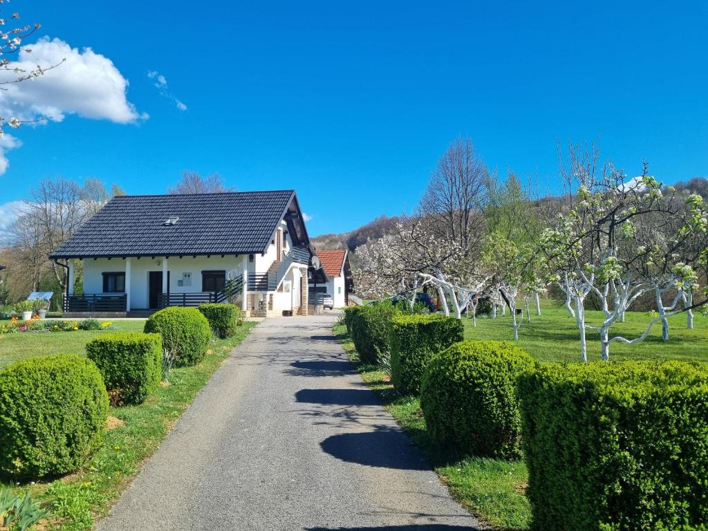 Apartment Rosandić - 3