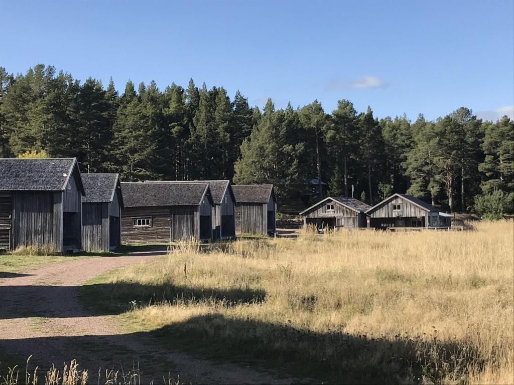 un grupo de antiguos edificios de madera en un campo en Sandvikens Fiskeläge Ulvön en Ulvöhamn